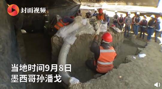 墨西哥城建新机场挖出200具猛犸象遗骸,预计还有更多