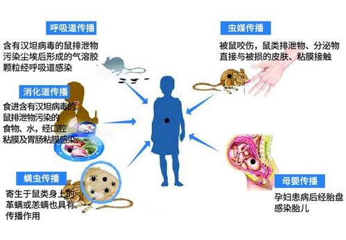 男子对嘴喝罐装饮料感染出血热 听听医生解读来龙去脉