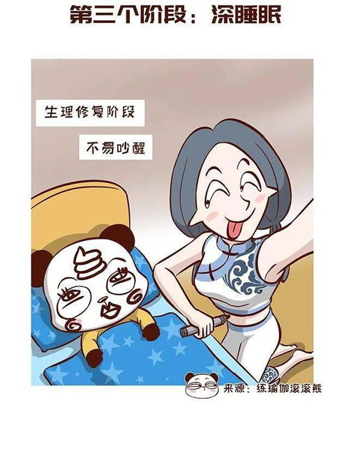 我们都被 8小时睡眠论 给骗了