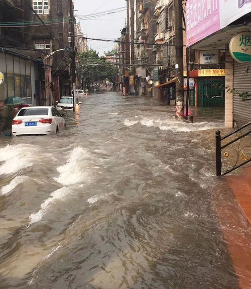 50年一遇洪水 广西多地遭遇暴雨袭击,城区瞬间变大海