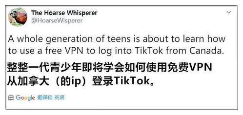 特朗普要禁TikTok,于是美国年轻人开启报复模式