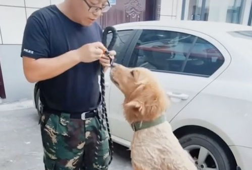 有人报警称发现疯狗,请求击杀,警察赶到后画风突变