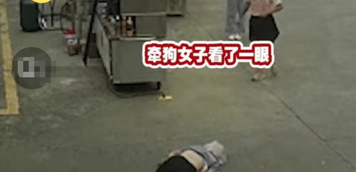 老人被狗绊倒身亡,女孩加速逃离现场 狗是偷来的,遛狗者才12岁