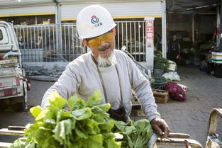 84岁大爷进城街头卖菜 小哥看了心酸全买完 