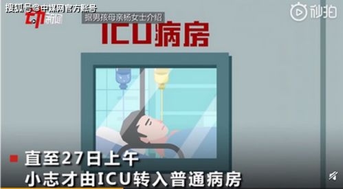 13岁男孩网购宠物蛇被咬进ICU,律师 卖蛇人贴吧快递公司均需担责