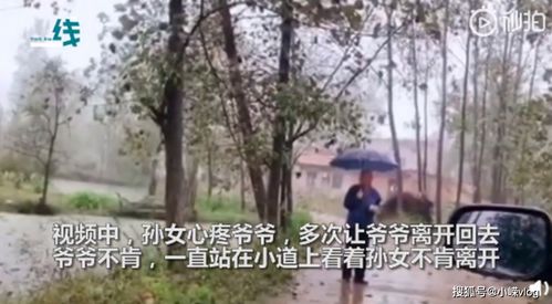 孙女返程爷爷雨中相送不肯离开 网友纷纷泪目