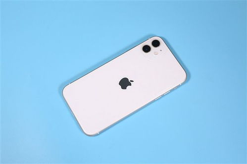 库克被指隐瞒iPhone中国需求下滑 苹果股东起诉