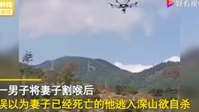 小区每天三四百只小鸟在同一地点撞楼自杀 原因令人心疼