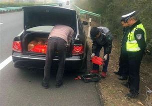 4个女司机在高速公路上换备胎,女司机的做法让交警不能淡定了