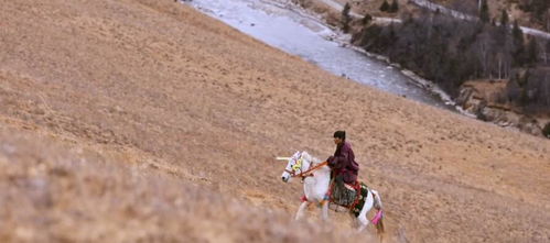 四川为了丁真有多努力,西藏日报 我们在西藏等你,山东文旅蹭了丁真的一波好