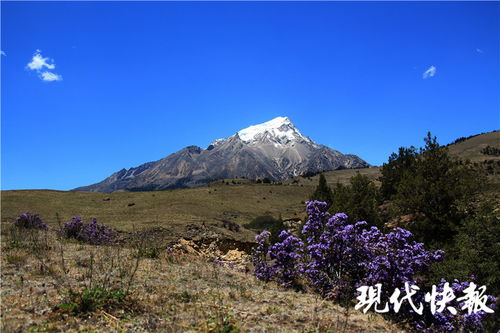 从贫困县到 网红县 ,解密丁真家乡的 七年之功