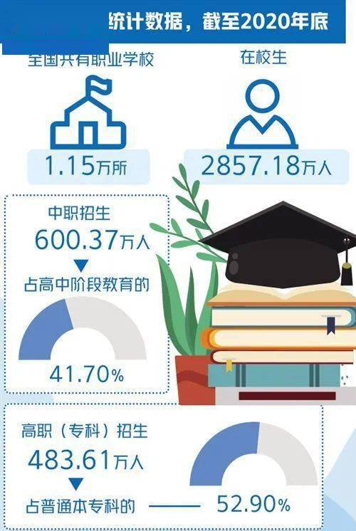 我国建成世界规模最大职业教育体系 培育更多 大国工匠