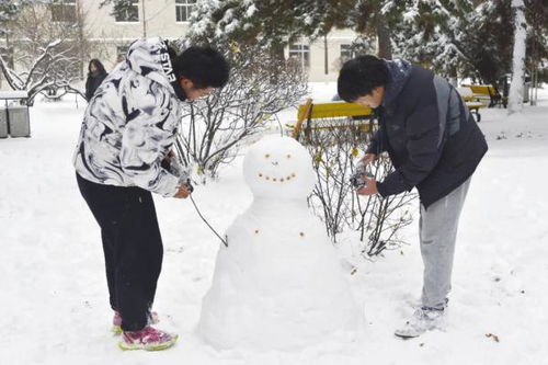 南方人 东北雪有多厚 图亮了