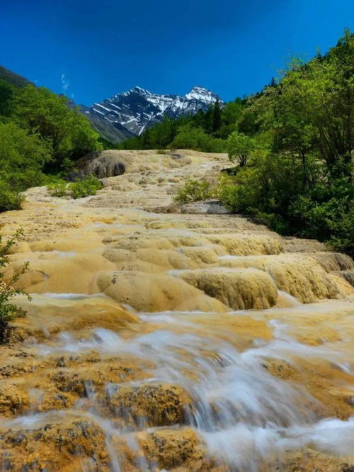 上万年钙华滩遭游客踩踏 景区回应