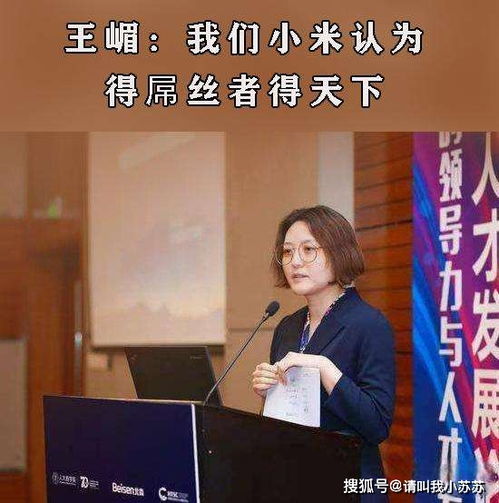 我可以叫自己DS,但你不行 小米高管的 DS言论 错在哪