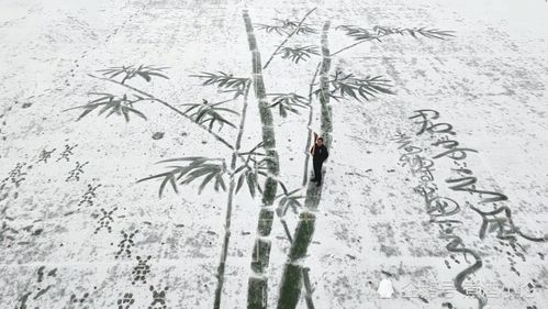 小学美术老师雪地中扫出巨幅雪竹图,网友 最强扫地僧