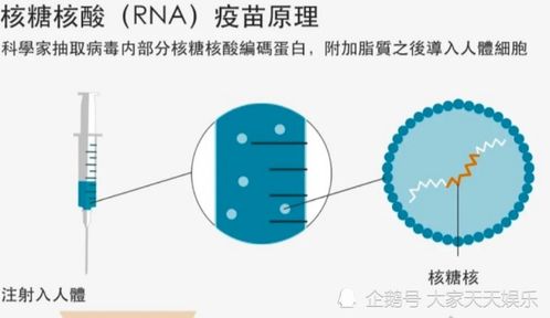 美国首批疫苗出仓 分配竟成大问题