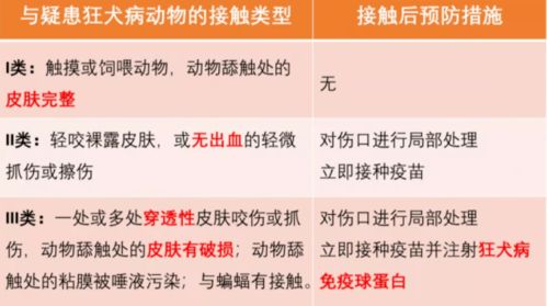 华领体检 杭州一女生感染狂犬病脑死亡 关于狂犬病,这些你可能还不知道