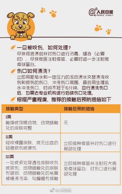 女生感染狂犬病脑死亡 网友 我被猫舔了下手,需要打疫苗吗 快来看看此类情况该怎么科学处理吧