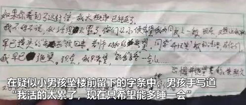 我活得太累了,现在我只想多睡一会 ,四川一小学生留字条跳楼