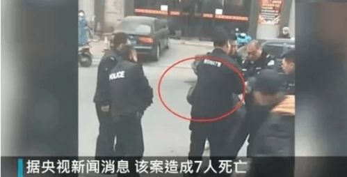 辽宁开原 7死7伤 案凶手疑为精神病患者,曾因故意伤害被判刑