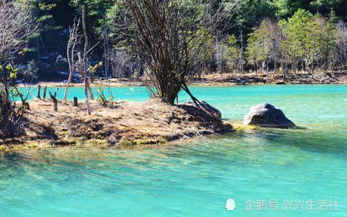 云南导游威胁游客 黑心导游缘何如此嚣张 旅游业的摇摇欲坠