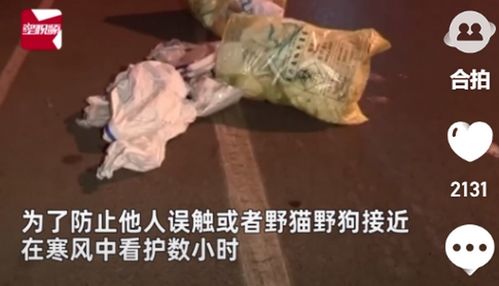 沈阳街头突然出现上百件不明垃圾,市民凑近一看吓到报警 