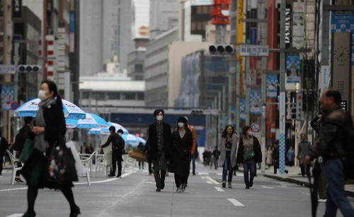 海外贵阳人抗 疫 实录 二 我只想回家,但害怕被骂 记录