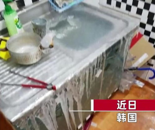 女子怕水管冻住,水龙头开一夜,起床被眼前景象镇住 厨房被冻结