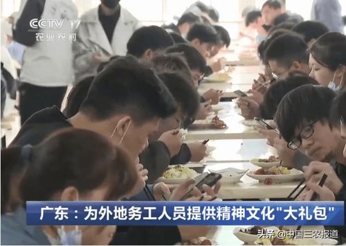 全国多地 花式 留人过大年 超七成农民工就地过年