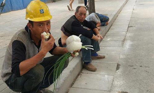 中研网商学院栏目 