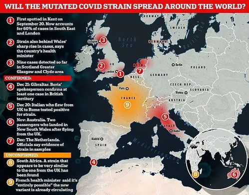 传播太快无法阻挡,专家预计英国变种新冠病毒将主宰地球