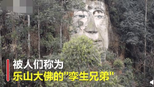 四川偏僻山村现乐山大佛 孪生兄弟 ,当地政府回应让人意外