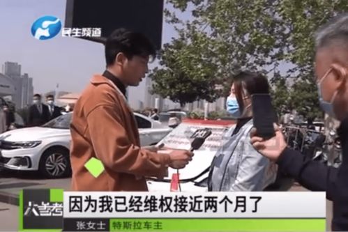 车顶维权 让特斯拉再陷风波 车主此前已多次维权,售后经理回复惹人发笑,央媒评论 谁给了特斯拉 不妥协 的底气