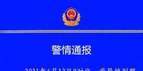 四川绵阳警方 一村民家中发现56只不明来历犬只 多部门开展调查