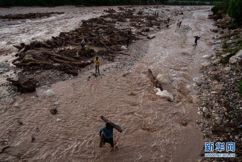 海地地震已致近2000人遇难