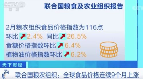 全球食品价格连续9个月上涨,中国人均粮食占有量在474公斤