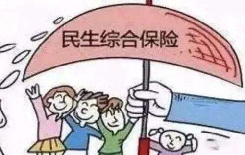 好生街道 召开灾害民生综合保险培训会议