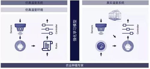 腾讯AI进军农业 企鹅种黄瓜,获国际AI温室种植大赛亚军