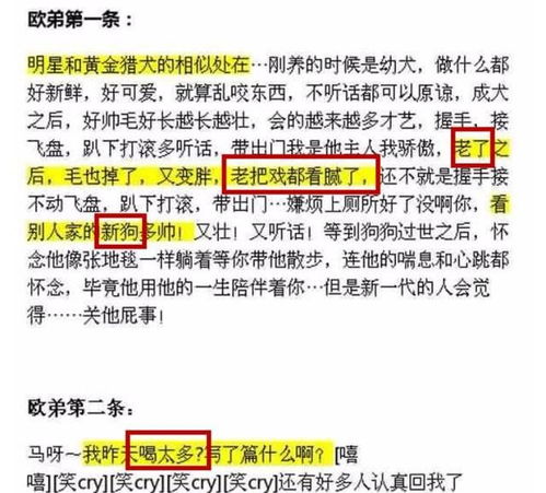 离开汪涵的欧弟,从一开始就注定了结局