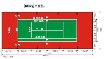 新生攻略 速速了解青农体育场地与人文球队