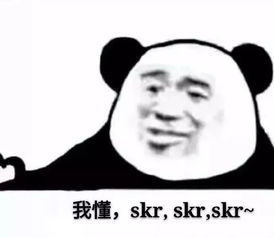 skr xswl zsqg 这些网络用语你知道是什么意思吗 