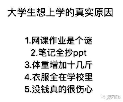 不怕哥哥是海王,就怕妹妹是同行,渣男渣女互怼聊天记录