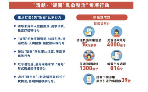 狂热的 饭圈文化 ,凉了 沸腾年终策划系列