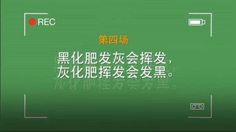 有群自以为中文很溜的老外,非要挑战绕口令 然后 呵呵 搜狐搞笑 搜狐网 