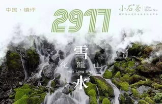 来自海拔2000米高山的小石茶,终于来安康啦 