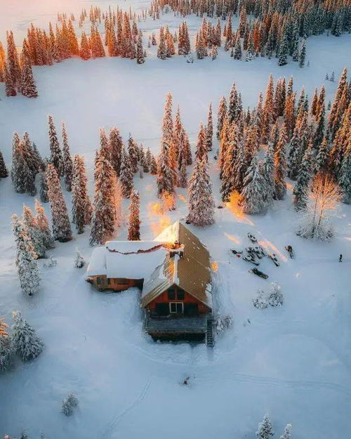 冬季雪景,你心动吗