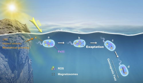 地球生命哪里来的 科学家 微生物能在太空传播,彗星或是载体