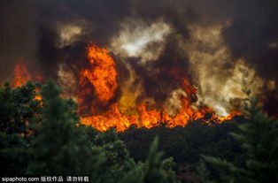 法国东南部森林大火蔓延 城市上空浓烟滚滚 