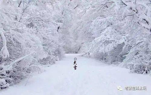 敬一丹朗诵 大雪 雪落成诗,景美情长